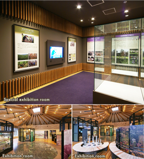  Exhibition Room/Special Exhibition Room